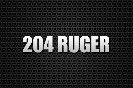 204 RUGER