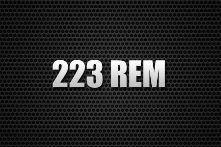 223 REM