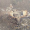 British Columbia Moose Taken with RT101 300 Win Mag