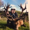 Annas Red Stag New Zealand May 2018