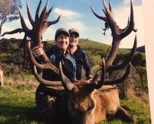 Annas Red Stag New Zealand May 2018