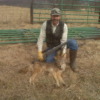 Coyote taken with Accuflite Arms RT100 6.5x284; 325 yards
